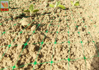 Extruded Plastic Turf Netting / Agricultural Mesh For Grass Seedlings Germinate