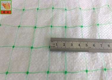Extruded Plastic Turf Netting / Agricultural Mesh For Grass Seedlings Germinate